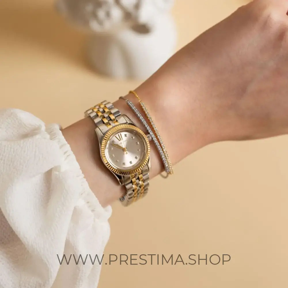 Montre Michael Kors pour femme MK4815